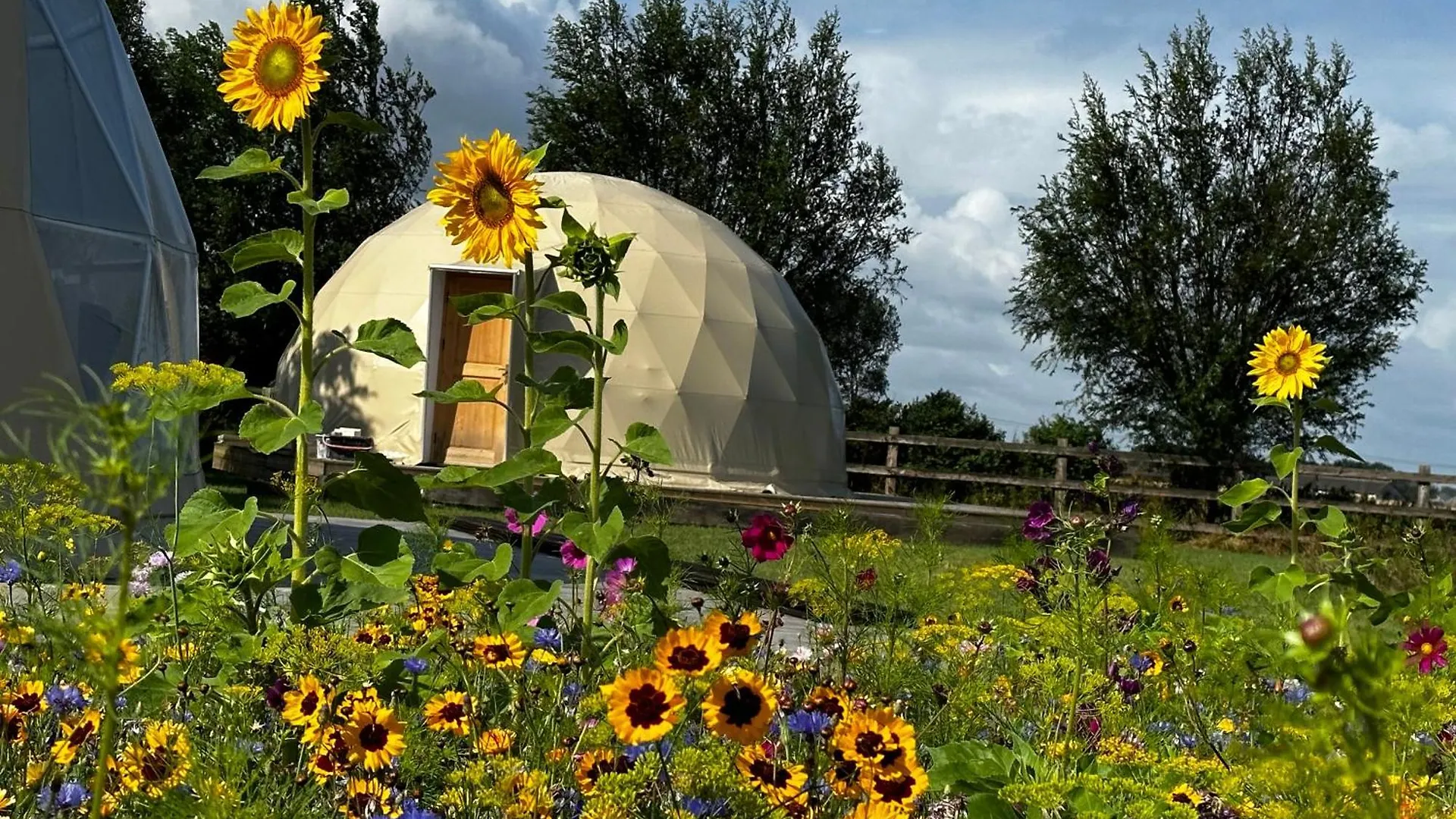 Luxury tent Id Glamping De Coude Scheure Hotel Middelkerke